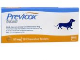 Previcox Antiinflamatório